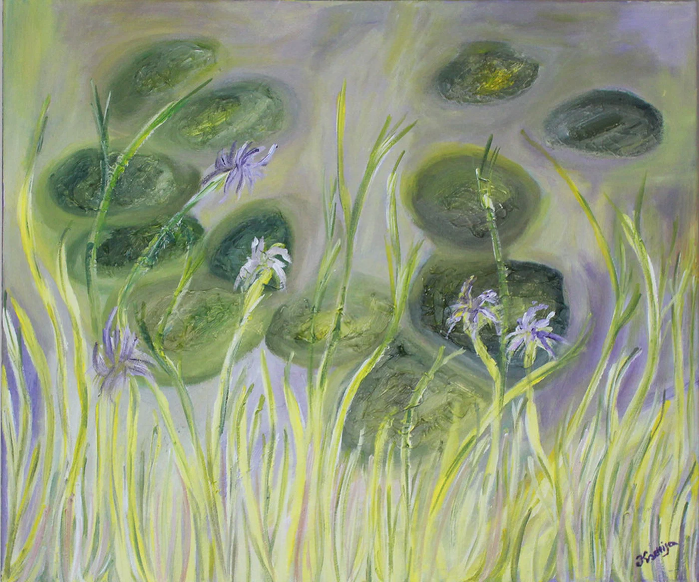 Rhythms of Nature