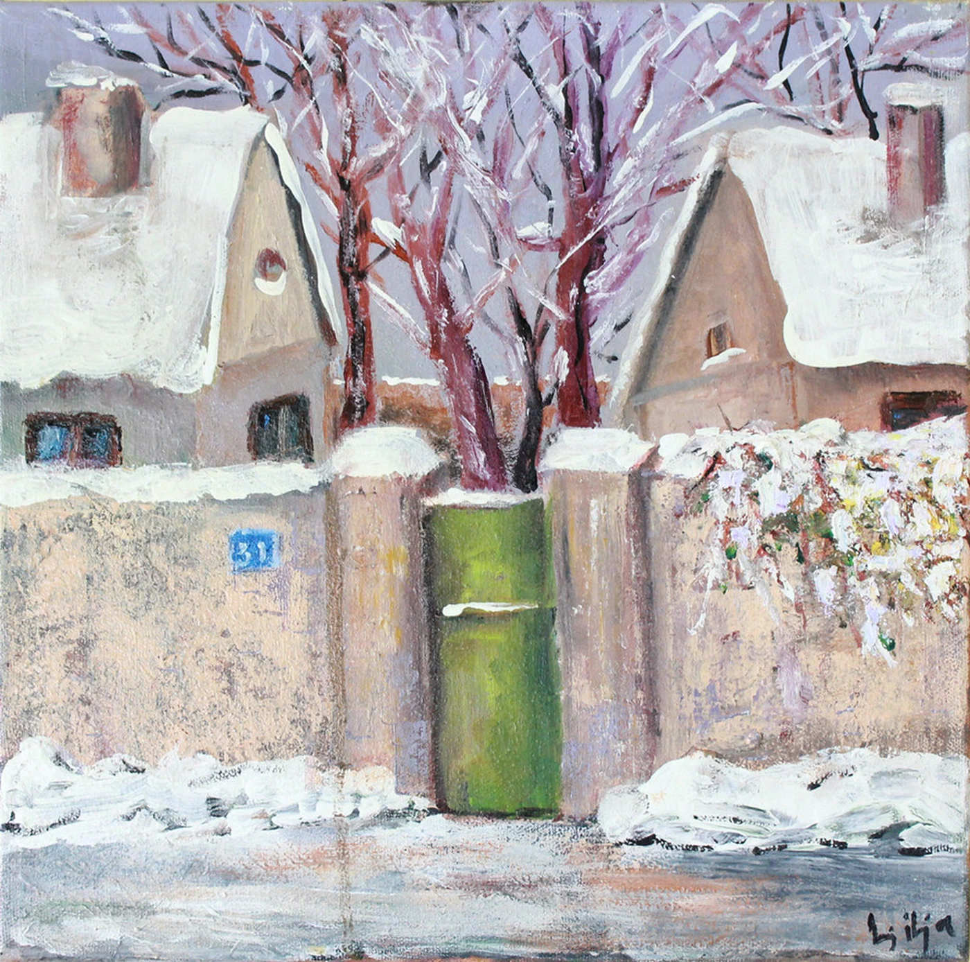 Winter in Countryside