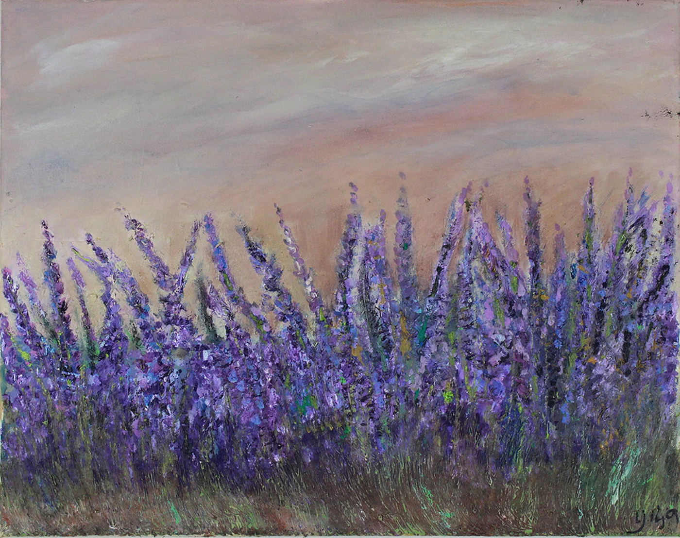 Lavender